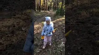 когда не хотелось идти за грибами