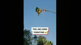 The Most Terrifying Job