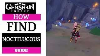 Get the invoices -How To Find Noctilucous Jade (Location)– Genshin Impact