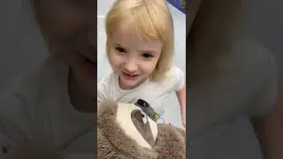 Кто это? Челлендж да или нет.#ланочкамиланочка