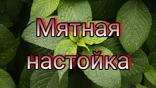 Мятная настойка