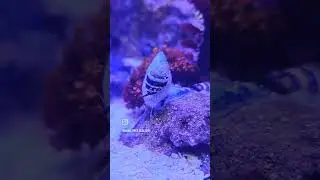 Hold on!