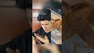 #Pov :¿COLLAR MÁGICO?.(Pt’2) 😱😳 / MINI SERIE + VIDEO DE SATISFACCIÓN / #shorts #youtubeshorts
