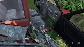 DAYZ. Сервер 100X-Ray Livonia