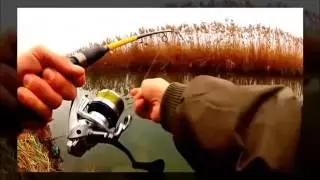 Самые яростые атаки щук