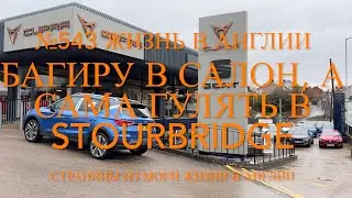 Багиру в салон, а сама гулять в Stourbridge. №543 Жизнь в Англии