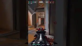 GEKKO 1V4 