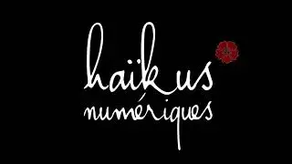 HAÏKUS NUMÉRIQUES- COMPAGNIE PETITE NATURE