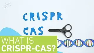 What is CRISPR-Cas?