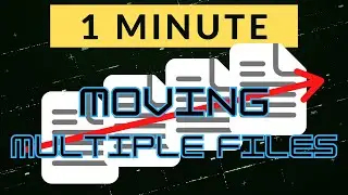 Move Multiple Files in Windows 10: How to do it?