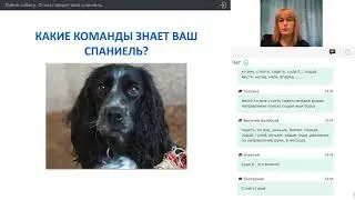 Видео вебинара 22.12.2018 ЦСС МООиР. Часть 2.  О чем говорит ваш спаниель + фишка