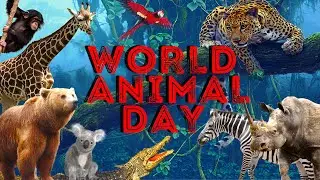 World Animal Day - 4th October | Protecting Wildlife, Celebrating Animals | 