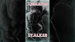 Мутанты в Мире игры Сталкер - Химера - (Stalker) 