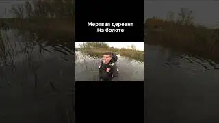 Мертвая деревня на болоте