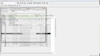 SAP Treasury Configuration - Posting Journal TPM20