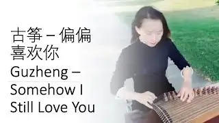 Sixue - Guzheng (Chinese zither) 纯古筝 - 偏偏喜欢你 Somehow I Still Love You