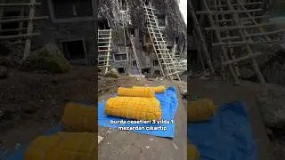 No way! They Open Graves Every Three Years in Indonesia 