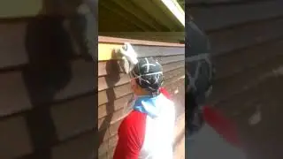 Покрытие деревянного  забора маслом