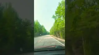 Sweet Home Alabama