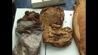 Ферментация табака в домашних условиях
