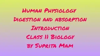 Human Physiology : Digestion and absorption : Introduction : Class 11 Biology by Suprita Mam