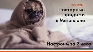 Повторные продажи в Мегаплане