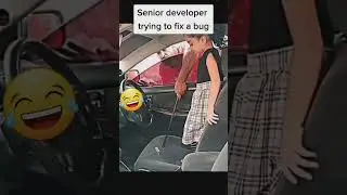 Senior Developer is trying to fix a bug ft Junior Developer