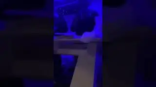 Pop Smoke - Unreleased Snippet