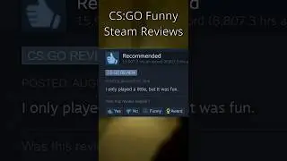 CSGO Funny Steam Reviews! You will not believe these! #gaming #csgo #funnyvideo