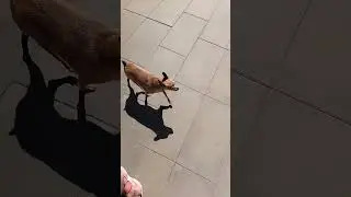 КУДА МЫ ИДЕМ?