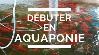3 conseils pour commencer en AQUAPONIE - Interview Pierre Garsi
