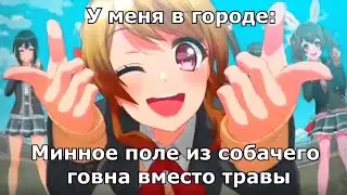 Что скрывает зелёная лужайка
