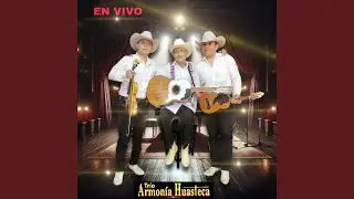 Mi Zimapán (En Vivo)
