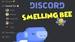 Discord Spelling Bee 🐝