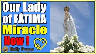 Our Lady of Fatima, Hear My Prayer and Perform the Miracle I So Desperately Need