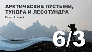 6/3 Арктические пустыни, тундра и лесотундра