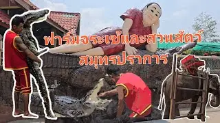 ฟาร์มจระเข้และสวนสัตว์สมุทรปราการ เปิดอีกครั้งหลังจากปิดไปหลายปี