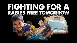 Mission Rabies: A Journey Of Impact – Our Timeline So Far