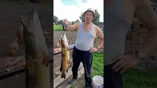 Ловля крупной щуки в августе