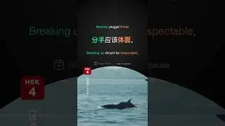 体面 1
