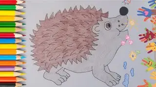 How to Draw a Hedgehog Easy and Cute } Animals Drawing Tutorial
