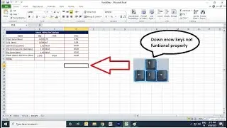 How To Fix Arrow Keys Not Working In Excel file.
