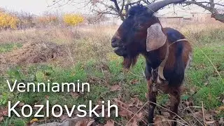 Иностранцы пробуют русскую еду / Venniamin Kozlovskih