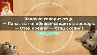 Самые смешные анекдоты про Вовочку