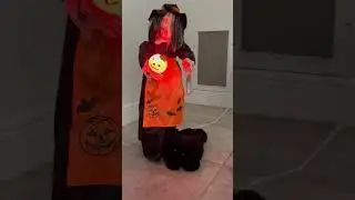 Telco motioned with plush black cat Halloween for ​⁠@leagszymanski  #halloween #cat #2024