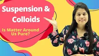 Suspension & Colloids | Chapter 2 | Is Matter Around Us Pure? | Class 9 Science
