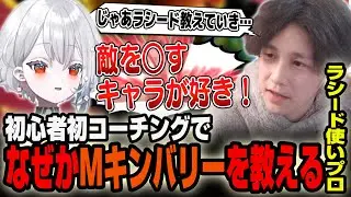 白那しずくが