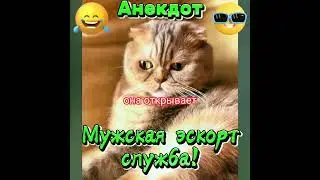 Анекдот про мужскую эскорт службу. 