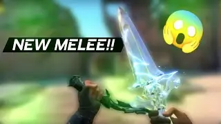 New Skin Bundle Leaked | Insane melee | VALORANT #NEWBUNDLE