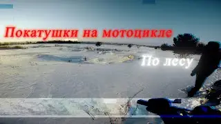Покатушки на мотоцикле Минск по лесу.